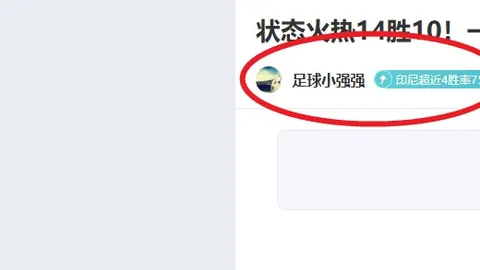 上海海港足球俱乐部概览手册